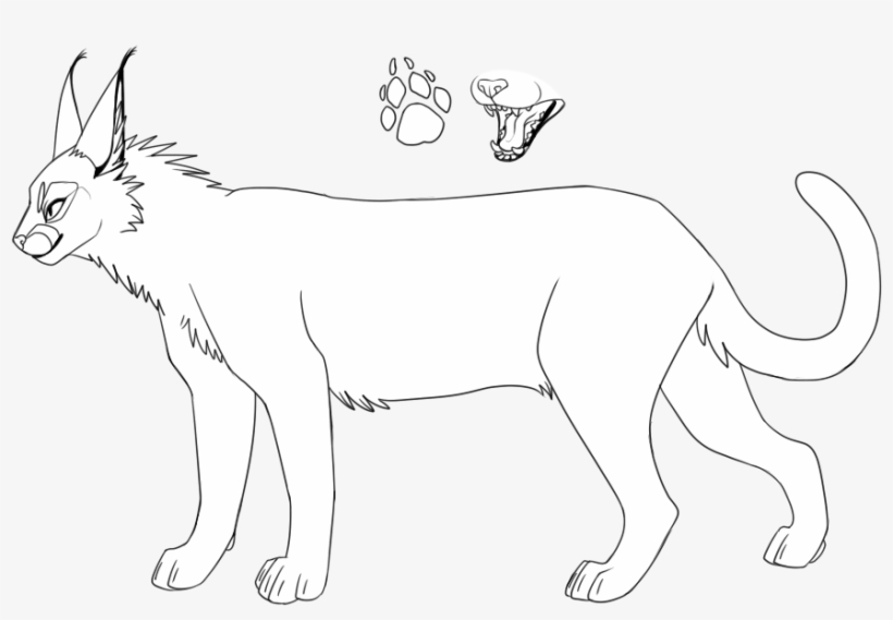Bases And Lineart - Caracal Lineart, transparent png #3773523