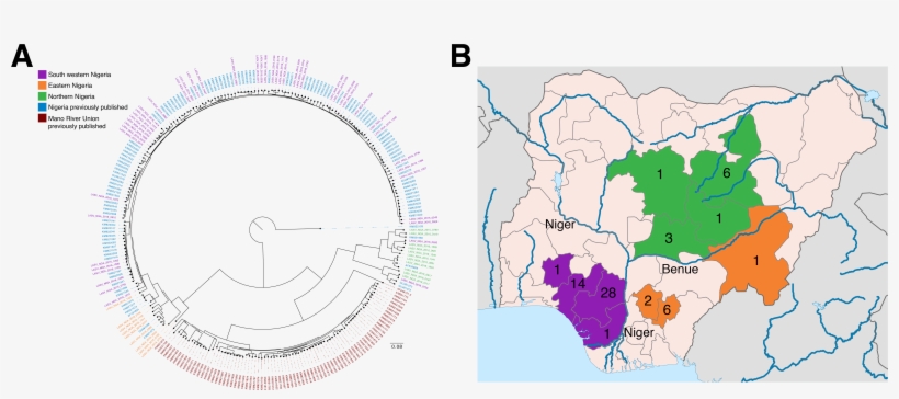 Fig1 Sseg - Portable Network Graphics, transparent png #3774408
