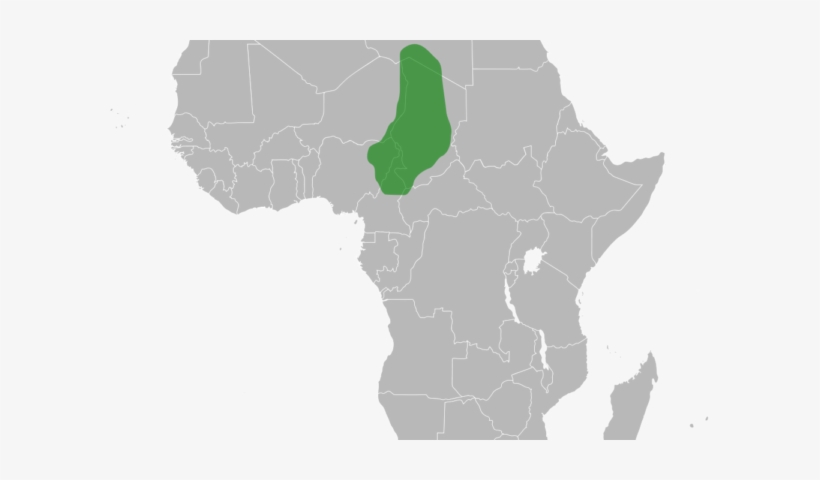 The Kanem Bornu Empire - Africa With Ethiopia Png, transparent png #3774847