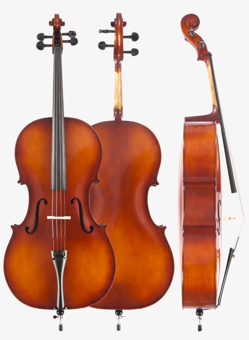 Student Cellos - 4 4 Cello, transparent png #3775353