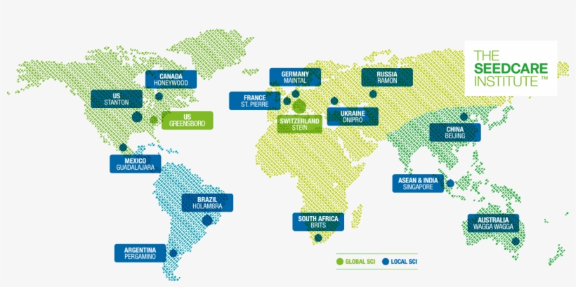 A Global Network Of Local Experts Discover Our Global - Syngenta Global, transparent png #3775758