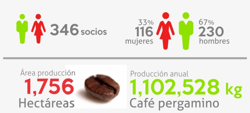 Our Partners - Chocolate, transparent png #3775912