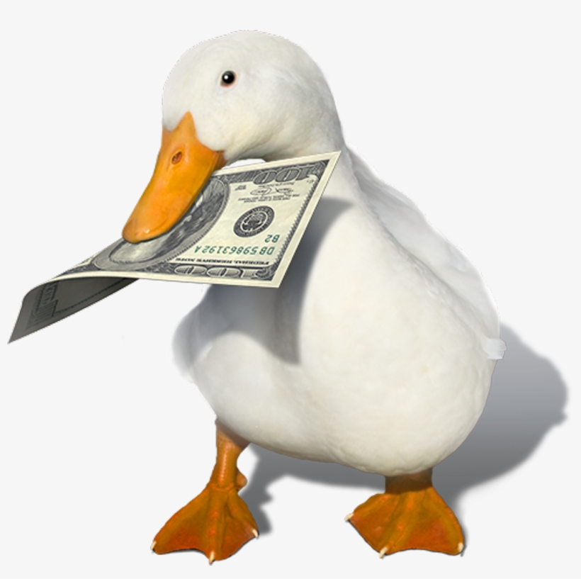 Duck - You Ve Heard Of Elf On The Shelf Now Get Ready For, transparent png #3776140