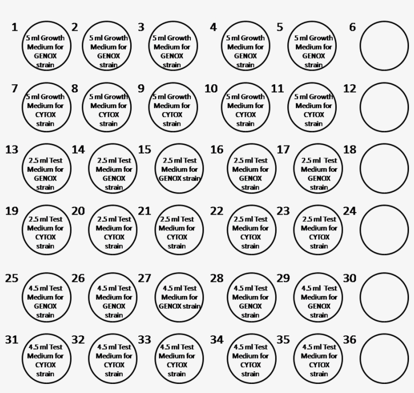 Vitotox Procedure Gentaur - Circle, transparent png #3778594