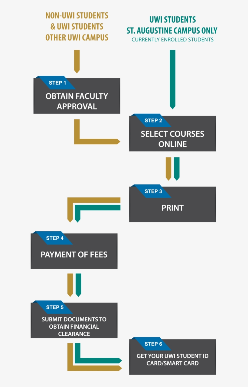Summer School Registration Procedure - Portable Network Graphics, transparent png #3778643