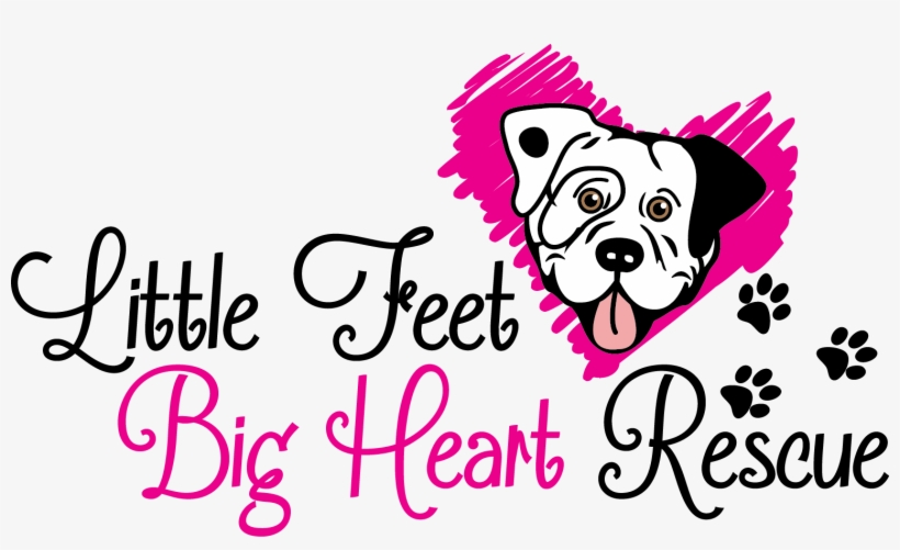 Little Feet, Big Heart Rescue Png - Love By Helen O'dare, transparent png #3778783