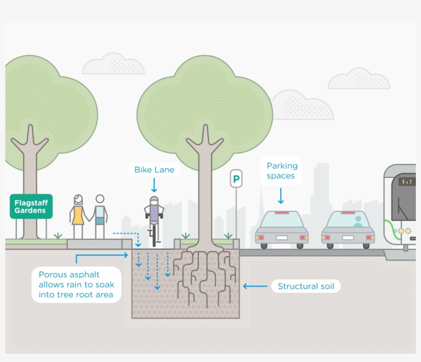 Project Details - Bike Lane Separated Trees, transparent png #3779386