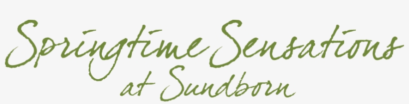 Dave Dekker: Dit Ben Ik! Cd, transparent png #3780002