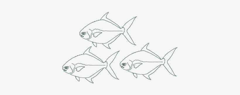 The Fisherman's Secret To Perfectly Cooked Fish - Mahi-mahi, transparent png #3780876