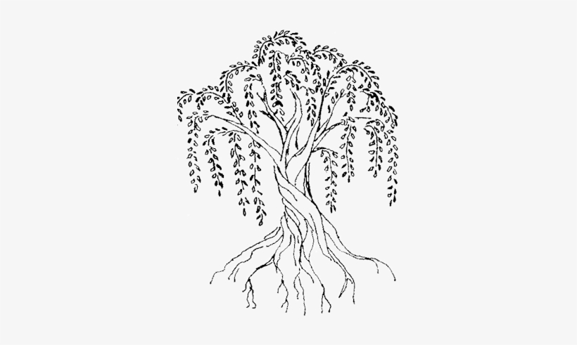 Twisted Willow Soap Co., transparent png #3780901