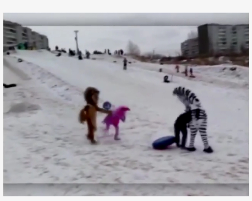 Hombres Disfrazados De Los Personajes De Madagascar - Film, transparent png #3782871