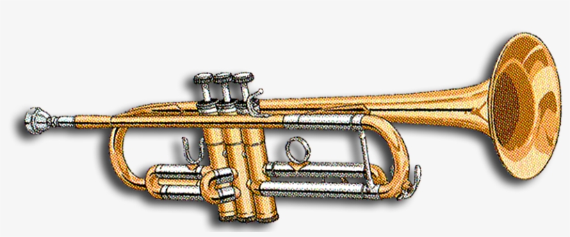 Trumpet - Wiki, transparent png #3782927
