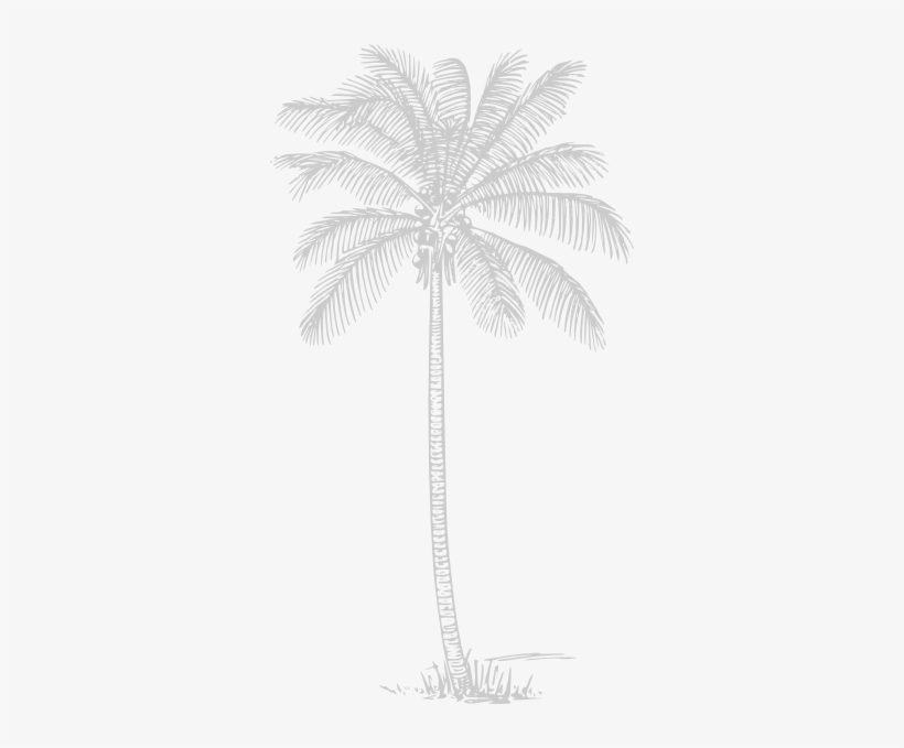 How To Set Use Gray Palm Tree 2 Svg Vector - Tropisches Ombre Sonnenuntergang Der Duschvorhang, transparent png #3783066