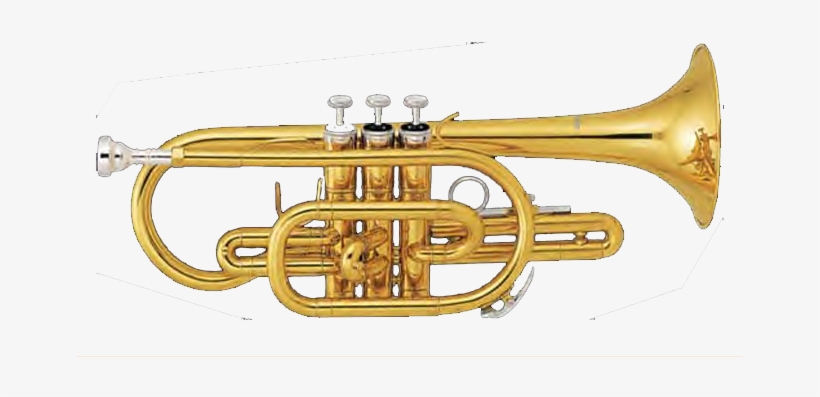 Fontaine Bb Cornet Fbw465 - Fontaine B Flat Cornet Lacquered Yellow Brass W/case, transparent png #3783244