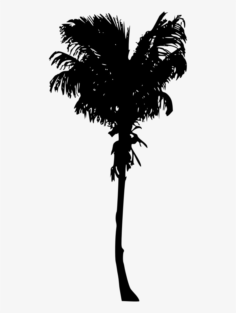 Free Png Palm Tree Png Images Transparent - Palm Trees, transparent png #3783386