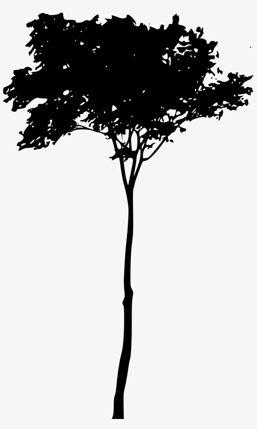 Free Download - Transparent Clip Art Tree Png, transparent png #3783409