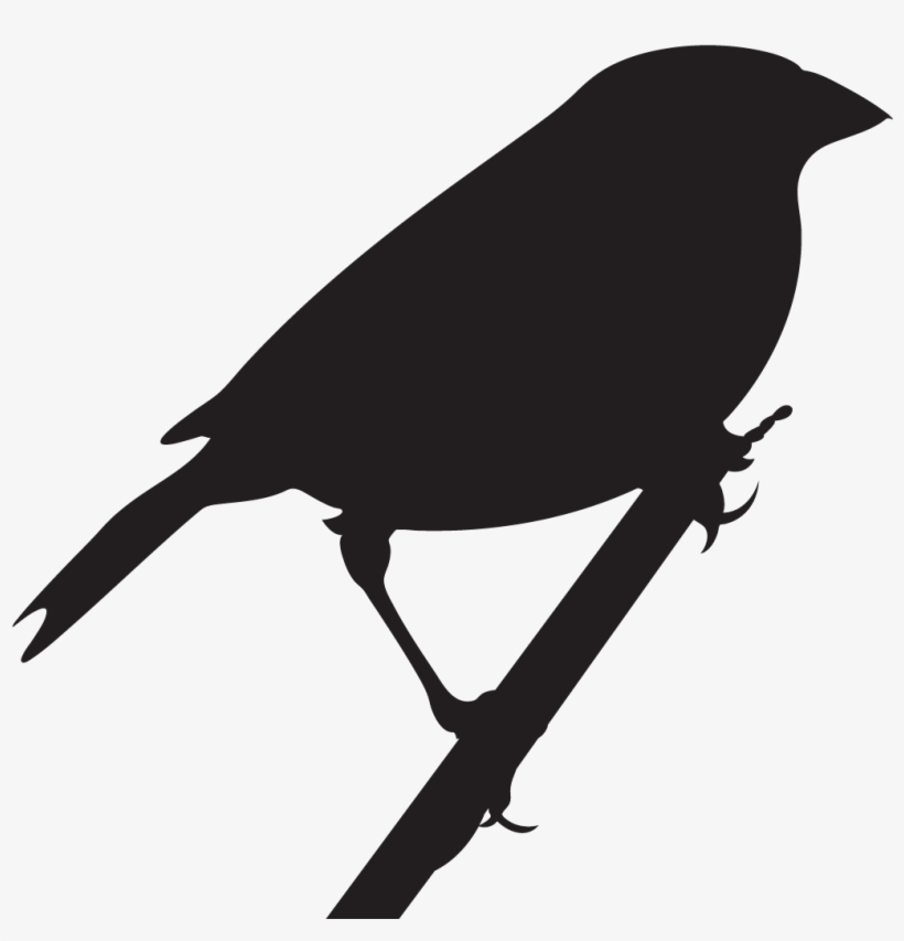Baird's Sparrow - Grasshopper Sparrow Silhouette, transparent png #3783431