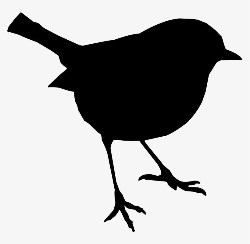 Bird, Stand, Silhouette, Nature, Bird Life - Silhouette Oiseau, transparent png #3783628