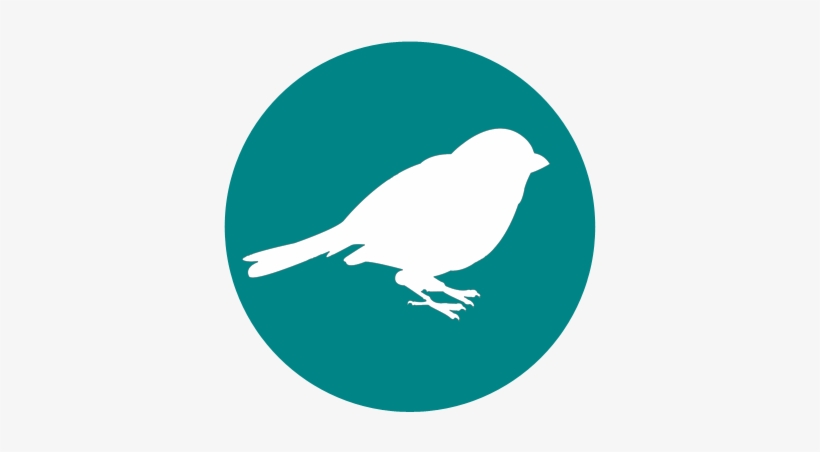 Birds Of Interest By Season - Corporate & Commercial Icon, transparent png #3783684