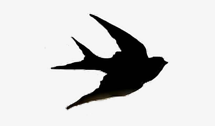 Sparrow Jack Bird Fly Art Nature Sky Pets&animals Anima - Irymple Primary School, transparent png #3783744