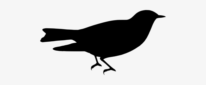 The - Graphics, transparent png #3783871