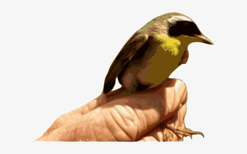 How To Set Use Yellowthroat Bird Svg Vector, transparent png #3783934