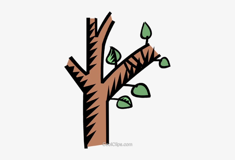Rama De Árbol Libres De Derechos Ilustraciones De Vectores - Bulletin Board In Math, transparent png #3784171