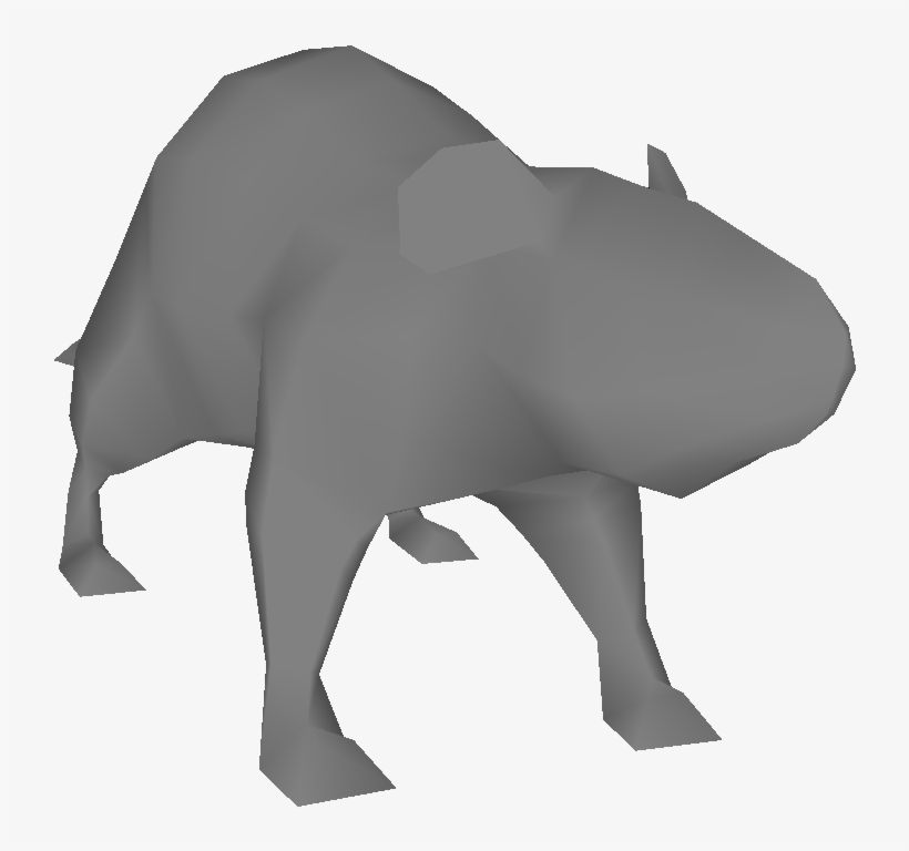 Leak Rat - Rat, transparent png #3785857