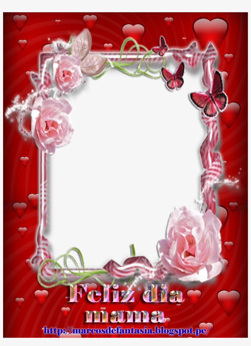 Es Muy Sencillo, Basta Que Solo Pinches El Marco De - Pink Rose Flower, transparent png #3786491