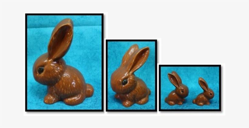 China Rabbits Breed Success - Rabbit, transparent png #3786749