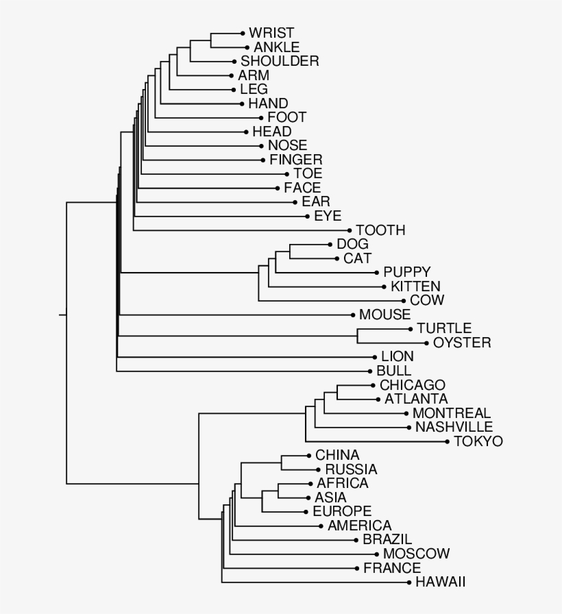 Hierarchical Clustering For Three Noun Classes Using - Diagram, transparent png #3787959