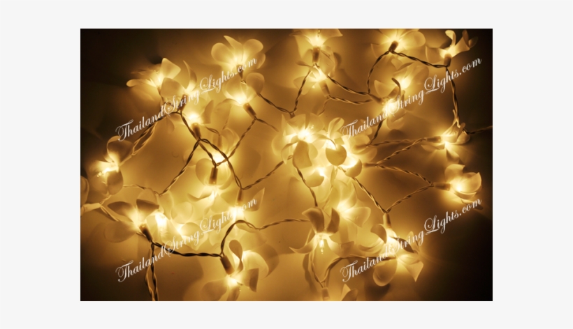 Lighting, transparent png #3788937