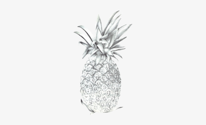Pineapple, transparent png #3789308