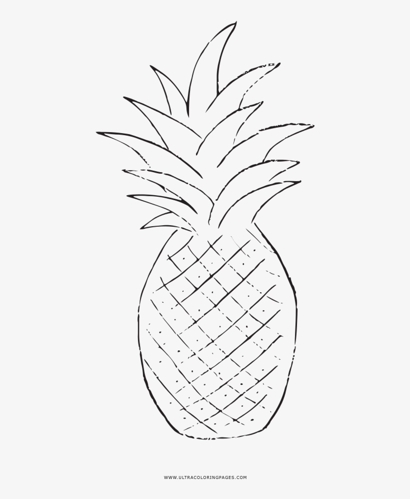 Pineapple Coloring Page - Line Art, transparent png #3789340