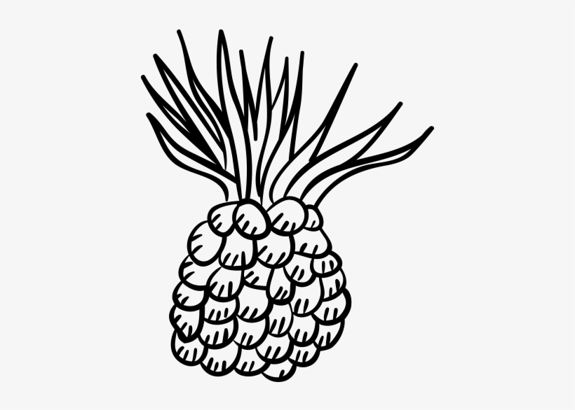 Pineapple Rubber Stamp - Drawing, transparent png #3789602