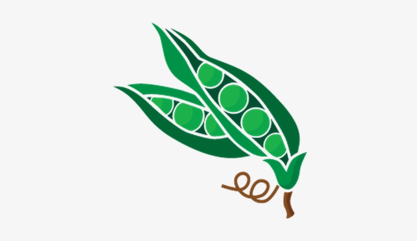 Salad Icon Png - Salad, transparent png #3791173