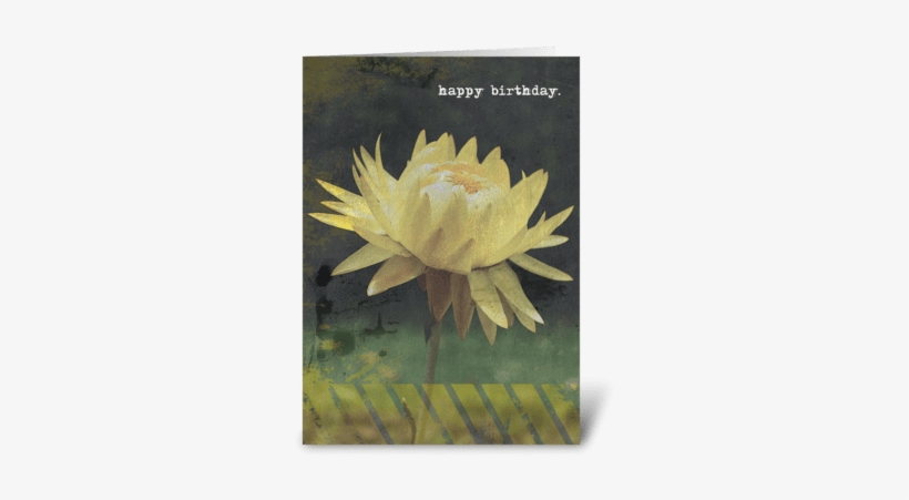 Greeting Card - Sacred Lotus, transparent png #3792961
