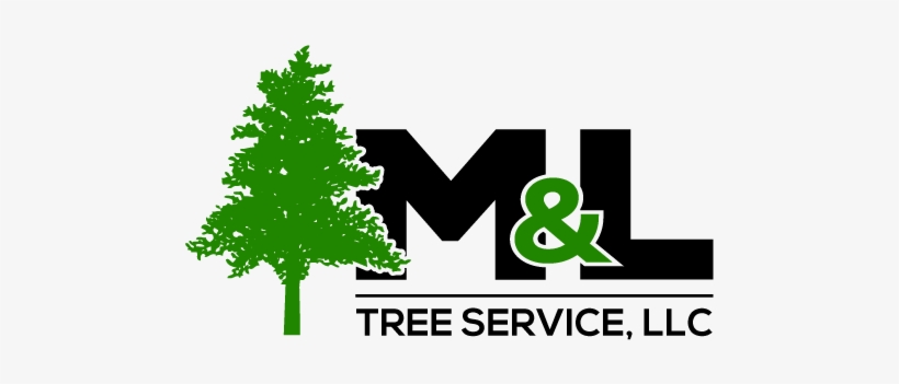 M & L Tree Services - Tree Silhouette Clip Art, transparent png #3793202