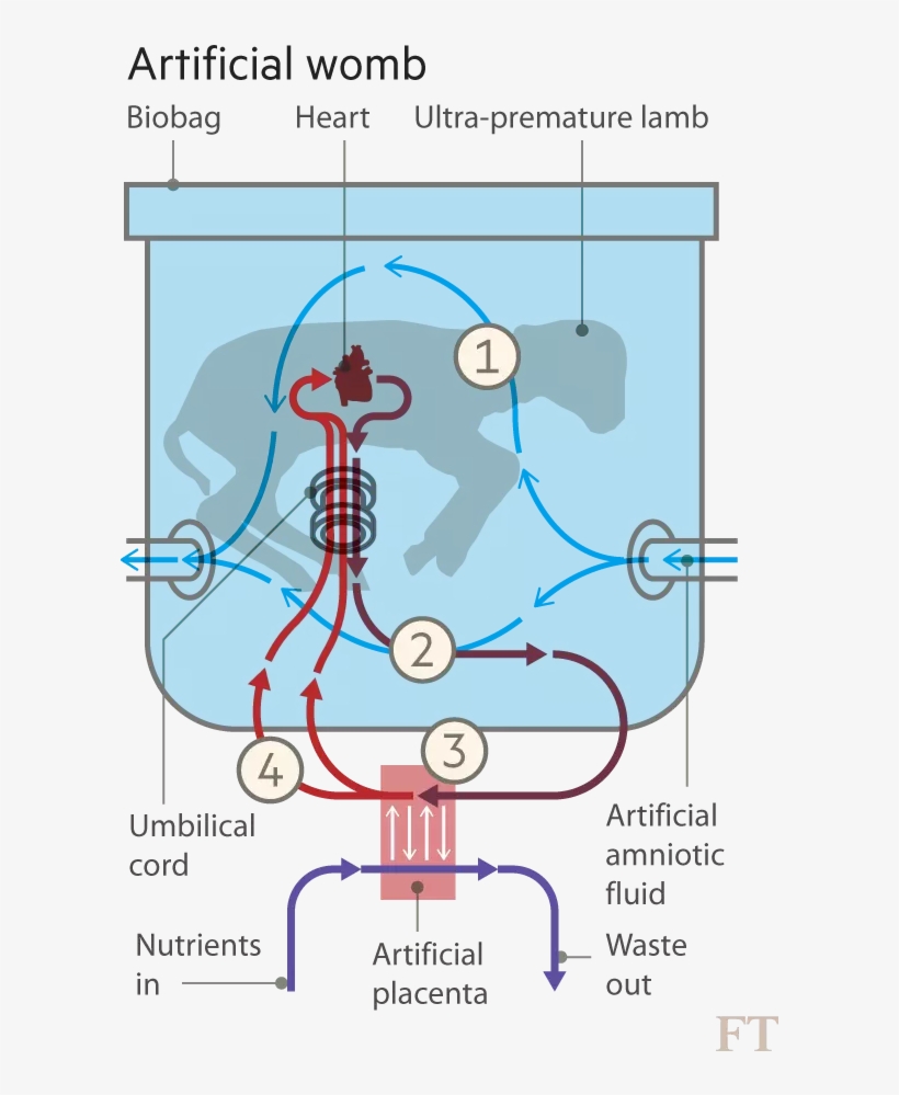 25 Apr - Diagram, transparent png #3793311
