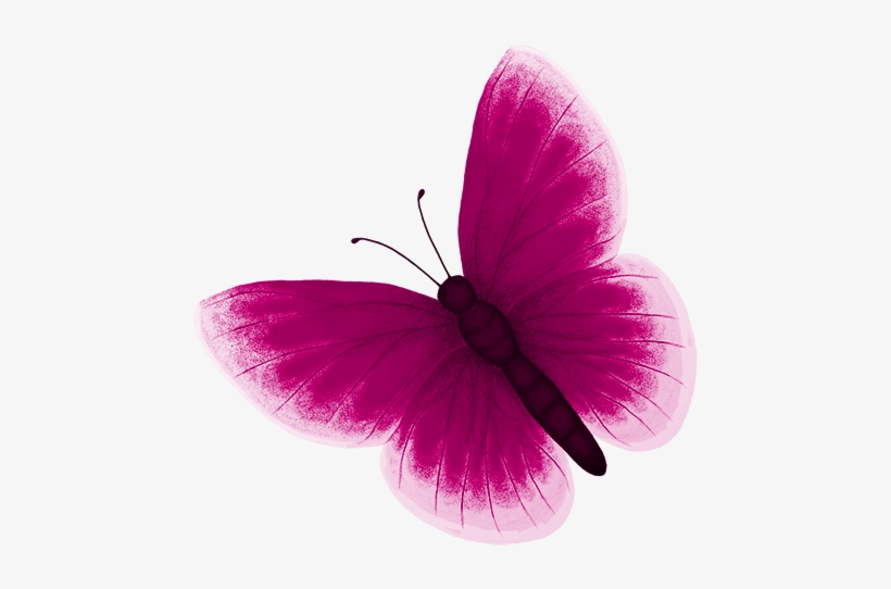 Renki Resimleri - صور جميل, transparent png #3794160