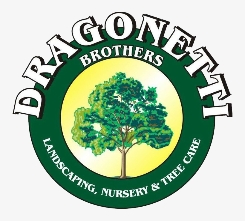 Dragonetti Brothers Landscaping - Bankal National High School, transparent png #3794344