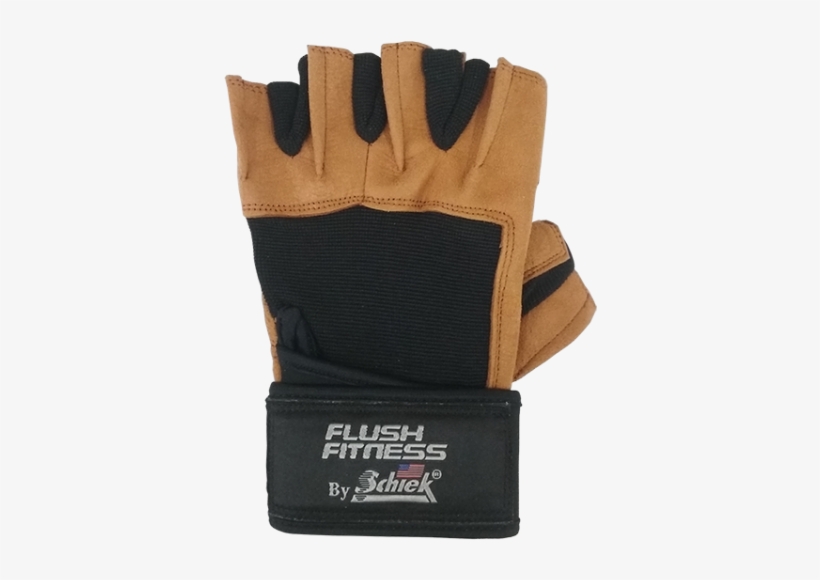 Schiek Sports Lifting Gloves Model 425 Power Series - Woman, transparent png #3794400
