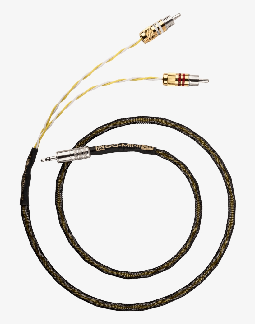 Description - Transfeccion Celular, transparent png #3794621