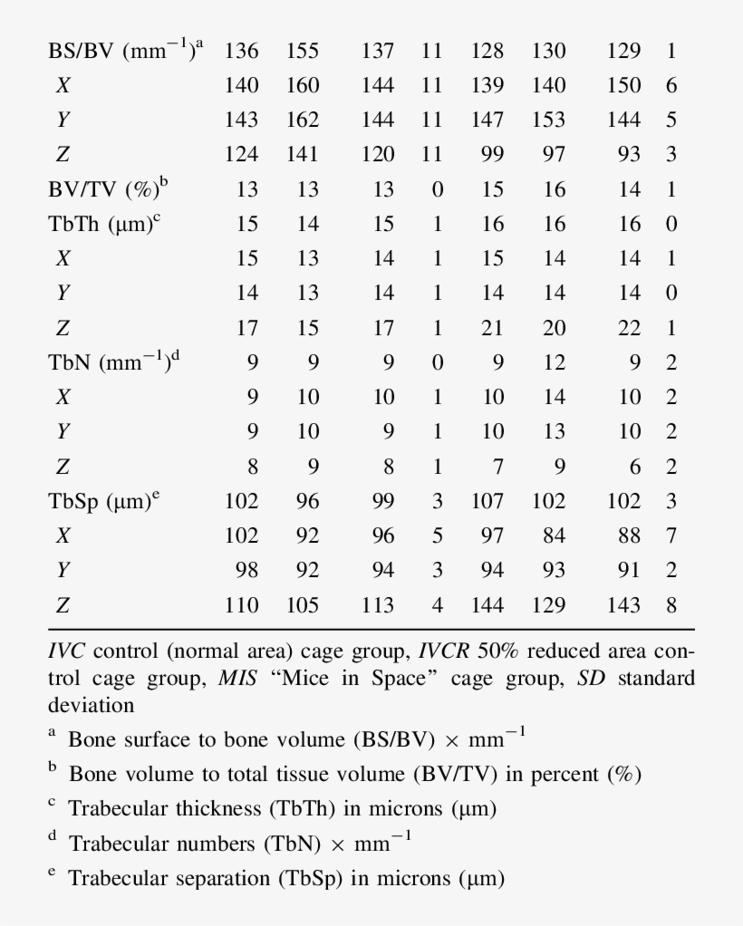 Trabecular 3-d Microarchitectural Parameters For Femur - Lumbar, transparent png #3794815