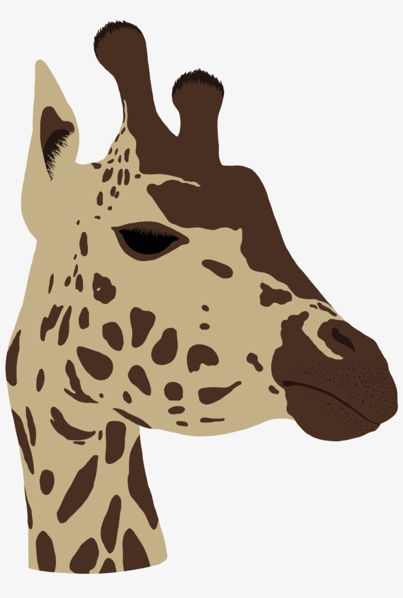 Giraffe Head - Giraffe, transparent png #3794948