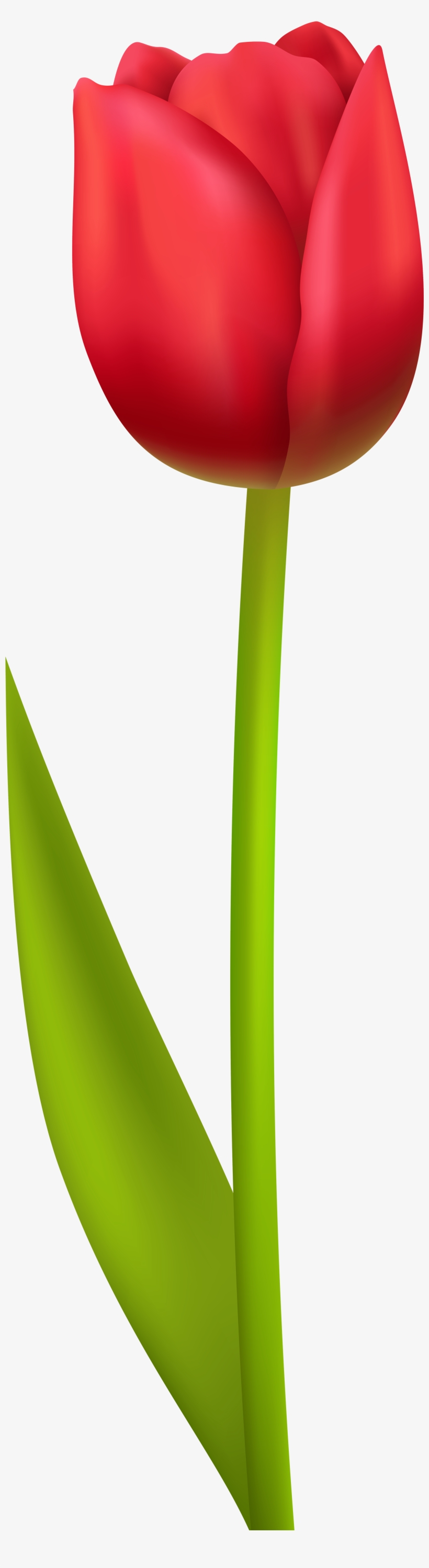 View Full Size - Clip Art, transparent png #3795260