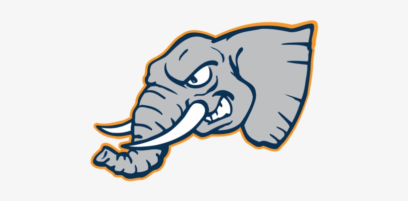 Csu Fullerton Titans - Cal State Fullerton Titans, transparent png #3795370