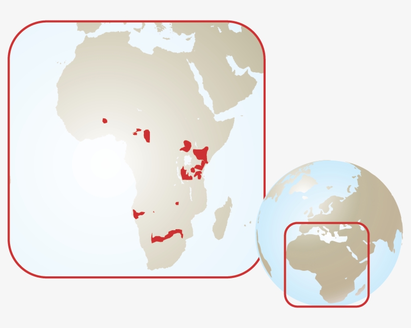 Giraffe - I'm With Her Mousepad, transparent png #3795517