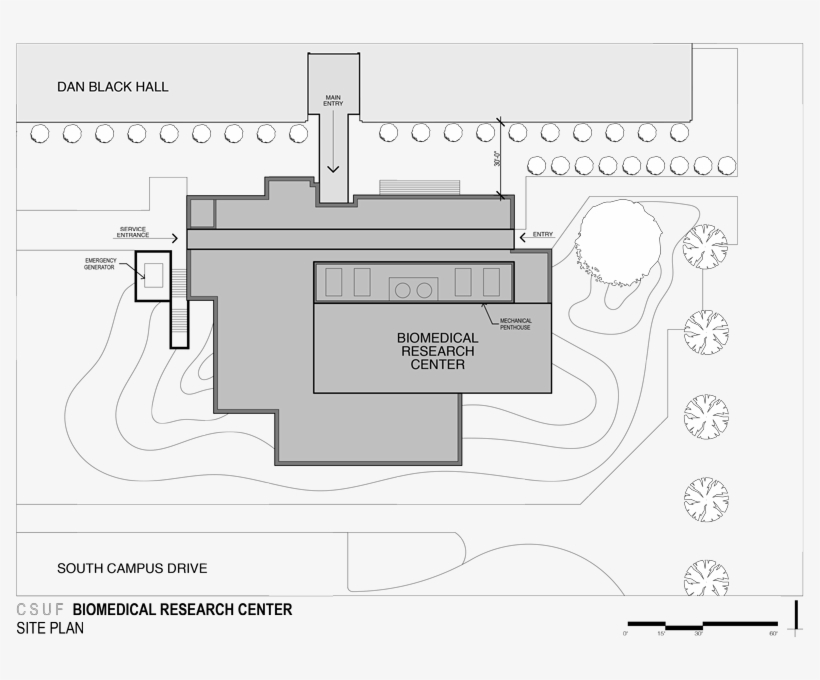 Diagram, transparent png #3796175