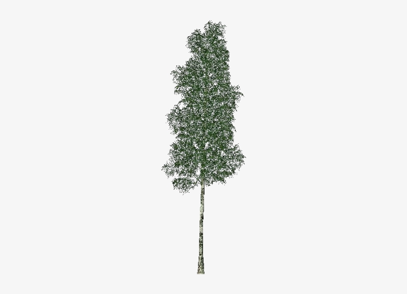 3d Trees - Elm - Software, transparent png #3796229